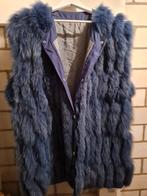 Blauwe Vossenbont Bodywarmer - XL - Nieuwstaat, Ophalen of Verzenden, Nieuw, Maat 46/48 (XL) of groter, Blauw