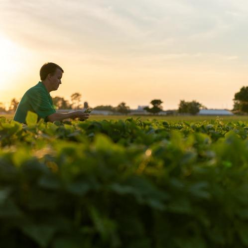 Trekkerchauffeur gezocht – werken in de zaadveredeling, Vacatures, Vacatures | Landbouw, Natuur en Milieu, MBO, Vanaf 1 jaar, Vast contract