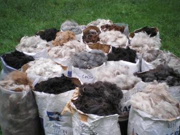 alpaca wol beschikbaar voor biedingen