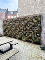Plantenwand incl. Drainage systeem, bevestigingslatten, Ophalen, Kunststof, Minder dan 60 cm, Rond