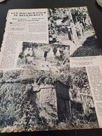 Artikel holbewoner Beekbergen 1940, Verzamelen, Tijdschriften, Kranten en Knipsels, Ophalen of Verzenden, 1940 tot 1960, Knipsel(s)