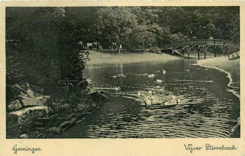 (380-101-007) Groningen Vijver Sterrebosch, Verzamelen, Ansichtkaarten | Nederland, Groningen, Verzenden