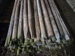 Boompalen, Tuin en Terras, 250 cm of meer, Ophalen of Verzenden, Zo goed als nieuw, Planken