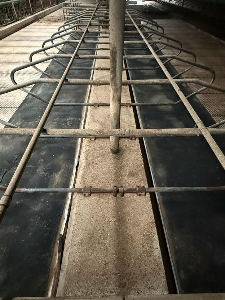 246 Ligboxen - Complete set, Dieren en Toebehoren, Stalling en Weidegang