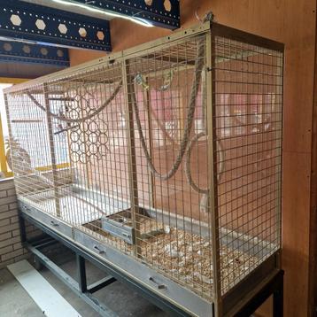 Papagaai Kaketoe grote kooi volière  beschikbaar voor biedingen