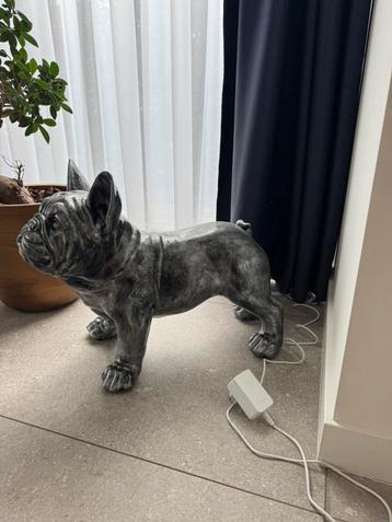 Beeld hond beschikbaar voor biedingen