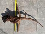 Kienhout / coralwood 100cm lange, Dieren en Toebehoren, Ophalen of Verzenden, Nieuw, Plant(en), Steen of Hout