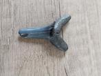 Te koop fossiele haaientand bijna 4 centimeter, Ophalen of Verzenden, Fossiel