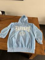 Harvard university sweater maat XS, Ophalen of Verzenden, Zo goed als nieuw, Maat 34 (XS) of kleiner