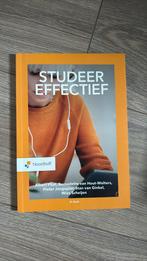 Albert Pilot - Studeer Effectief, Ophalen of Verzenden, Zo goed als nieuw, Albert Pilot; Bernadette van Hout-Wolters; Pieter Jongepier; ...