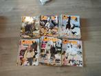 Allemaal penny's te koop, Boeken, Ophalen of Verzenden, Zo goed als nieuw, Overige typen