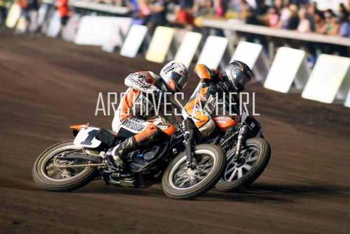 Harley-Davidson XR 750 racer Brad Baker Jared Mees 2014 Palo, Verzamelen, Foto's en Prenten, Nieuw, Foto, Overige onderwerpen