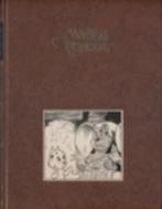 Marten Toonder Volledige Werken 29, Boeken, Eén stripboek, Ophalen of Verzenden, Gelezen