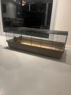 Cavia kooi 120 x 59 x 46, Dieren en Toebehoren, Kooi, 110 cm of meer, Cavia, Ophalen