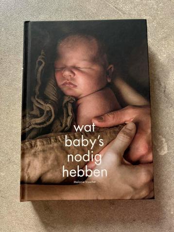 Boek wat baby’s nodig hebben beschikbaar voor biedingen