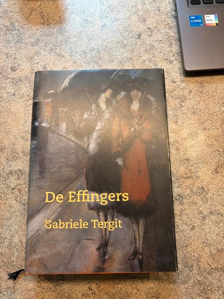 De Effingers - Gabriele Tergit, Boeken, Literatuur, Zo goed als nieuw, Europa overig, Ophalen