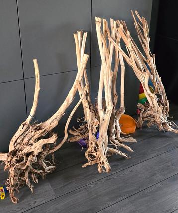 Boutique stumps - wood stumps - aquarium hout beschikbaar voor biedingen