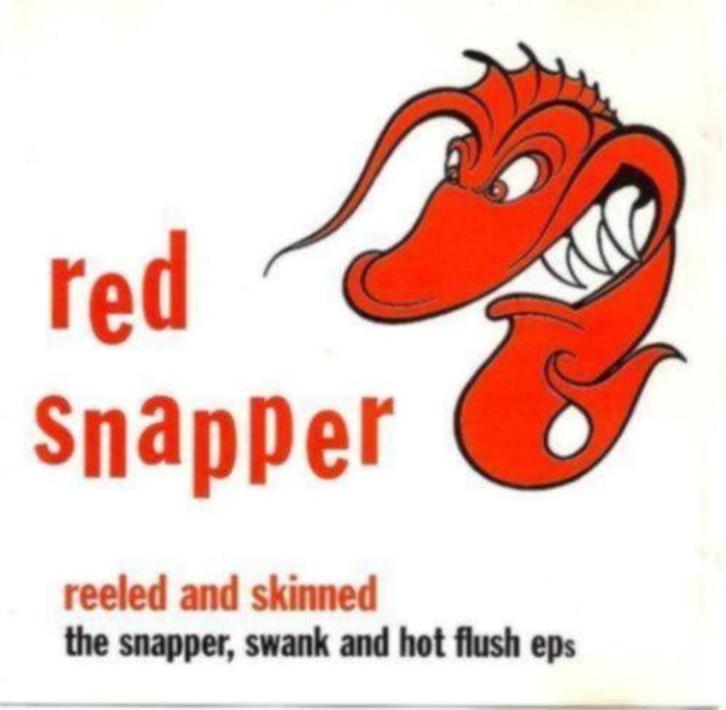 CD: Red Snapper – Reeled And Skinned (ZGAN), Cd's en Dvd's, Cd's | Dance en House, Zo goed als nieuw, Ophalen of Verzenden