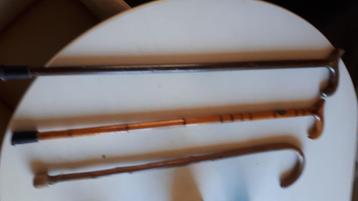 3 stuks wandelstokken alle 3 samen voor maar 10 euro  beschikbaar voor biedingen