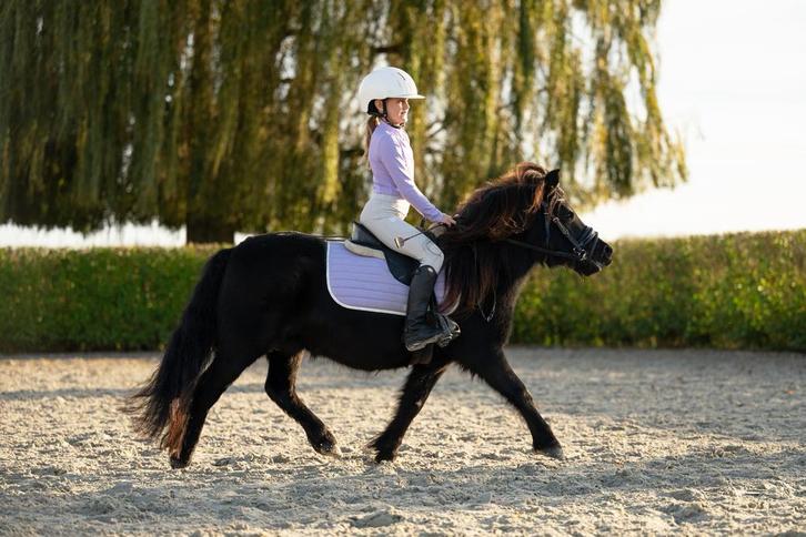 Super leuke shetlander merrie kinderpony, Dieren en Toebehoren, Pony's, Merrie, Zadelmak, A pony (tot 1.17m), Recreatiepony, 7 tot 10 jaar