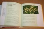 Dumonts kleine kruiden lexicon - Teelt, recepten, cosmetica., Ophalen of Verzenden, Zo goed als nieuw, Kruiden en Alternatief