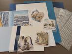 Hobbypakket kaarten maken pooldieren, Ophalen of Verzenden, Zo goed als nieuw, Overige thema's, Overige typen