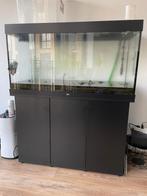 Juwel RIO 350 Liter Aquarium, Dieren en Toebehoren, Vissen | Aquaria en Toebehoren, Ophalen, Gebruikt, Leeg aquarium