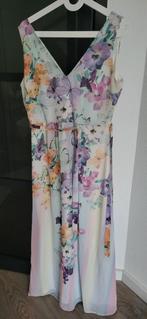 ≥ Wallis Jurk voor Dames in de Categorie Kleding Marktplaats