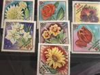 Bloemen, Mongolië 1983, Postzegels en Munten, Postzegels | Thematische zegels, Ophalen of Verzenden, Dier of Natuur, Postfris