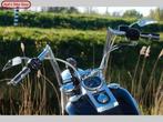 HARLEY-DAVIDSON FAT BOY FLSTF (bj 2004) € 8.895,-, 2 cilinders, HARLEY-DAVIDSON, Motorrijbewijs A, Bedrijf