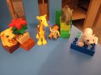 4962 baby zoo, Ophalen of Verzenden, Zo goed als nieuw, Duplo