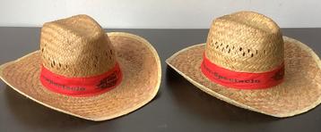 Hoeden Buffalo Bill’s Wild West Show Disney Parijs beschikbaar voor biedingen