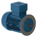 te koop gevraagd: flensmotor 220v 3000rpm, Doe-het-zelf en Verbouw, Motoren, Ophalen, Zo goed als nieuw, Elektromotor, 1800 rpm of meer