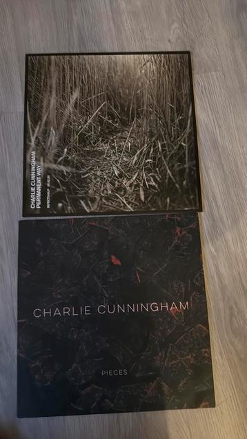 2 LP’s van Charlie Cunningham Vinyl beschikbaar voor biedingen