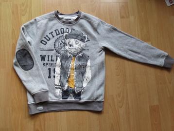 Stoere grijze trui met zachte, warme binnenkant, mt 158 beschikbaar voor biedingen