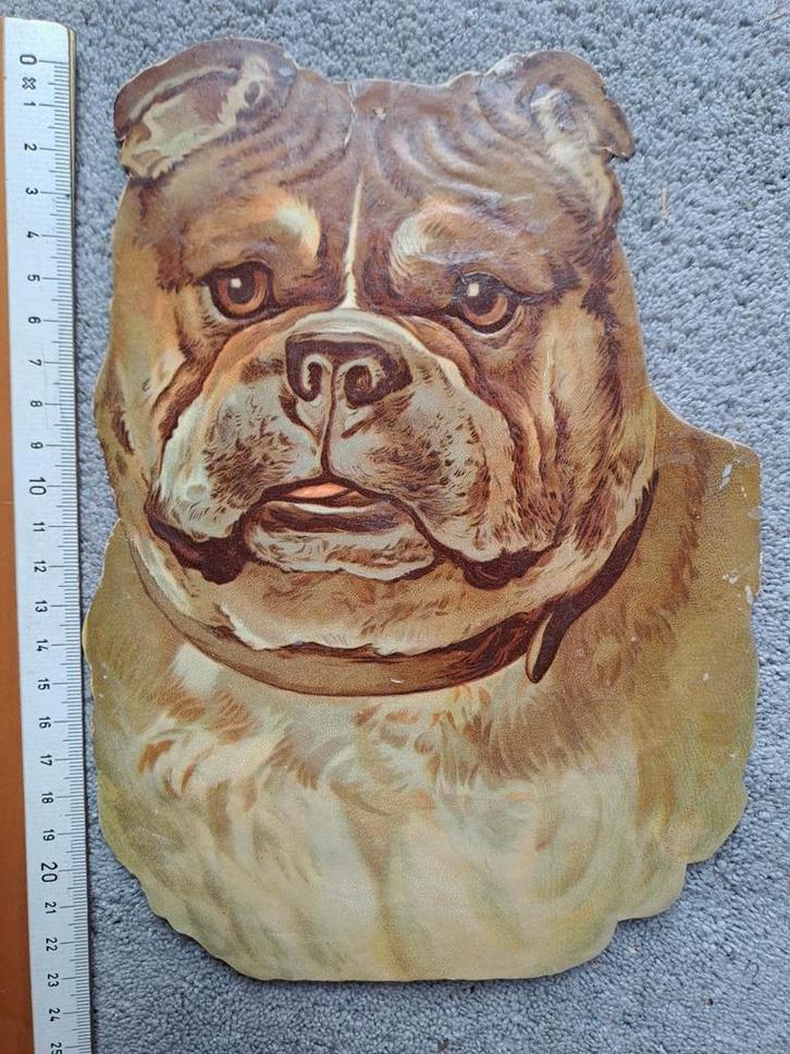Antieke Poezieplaatjes Honden Bulldog Mastiff Puppies, Antiek en Kunst, Antiek | Schoolplaten, Overige thema's, Ophalen of Verzenden