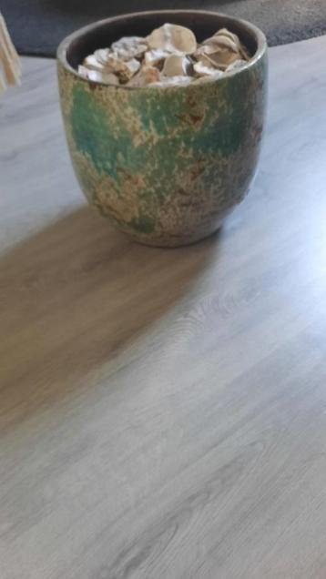 Bloempot voor binnen beschikbaar voor biedingen