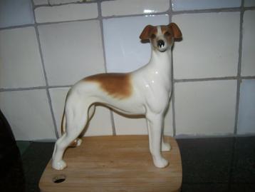 beeld Whippet-Grey. beschikbaar voor biedingen