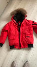 Donsjack maat L, Ophalen of Verzenden, Zo goed als nieuw, Maat 42/44 (L), Rood
