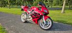 Honda CBR 600 RR 2003 in topstaat, Motoren, 4 cilinders, Motorrijbewijs A, Super Sport, Particulier