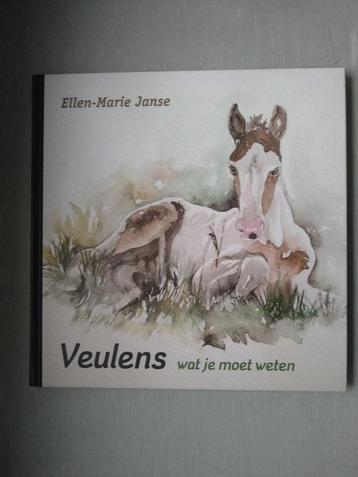 Veulens, wat je moet weten beschikbaar voor biedingen