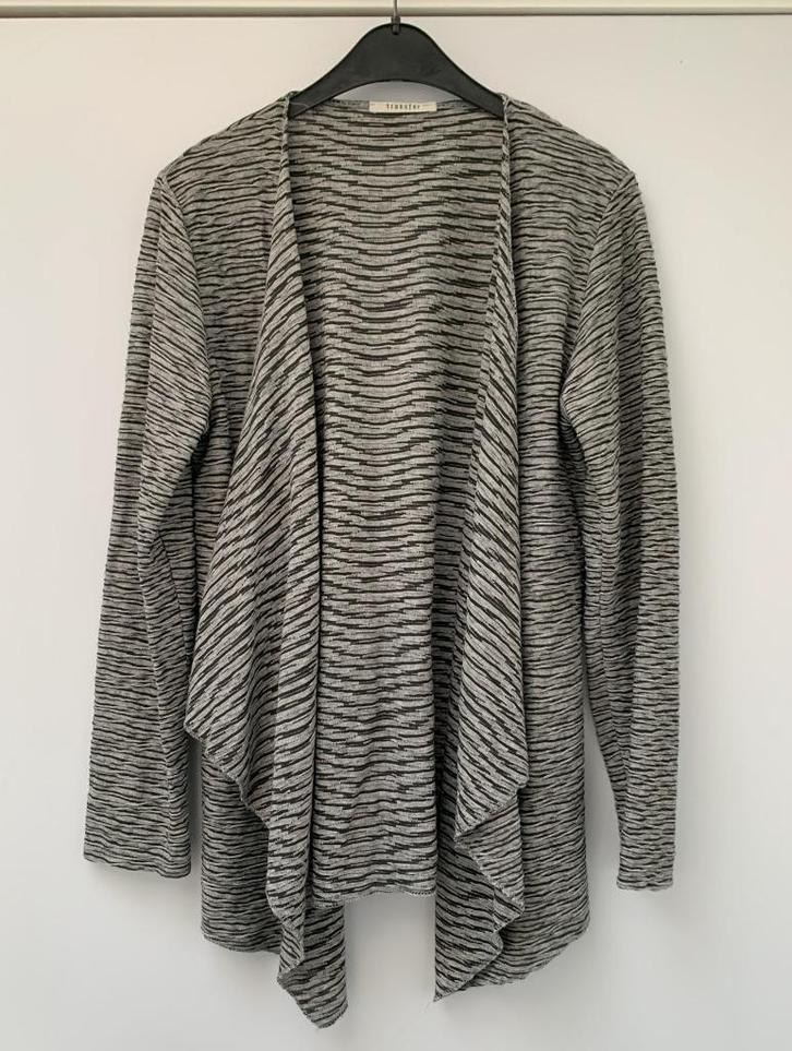 TRANSFER vest vestjasje mt M grijs-zwart, Kleding | Dames, Truien en Vesten, Gedragen, Maat 38/40 (M), Grijs, Ophalen of Verzenden