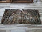 Achterwand aquarium/terrarium, Dieren en Toebehoren, Ophalen, Gebruikt, Plant(en), Steen of Hout
