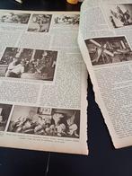 Artikel museum van onderwijs Den Haag opgezette dieren etc., Ophalen of Verzenden, 1980 tot heden, Knipsel(s)