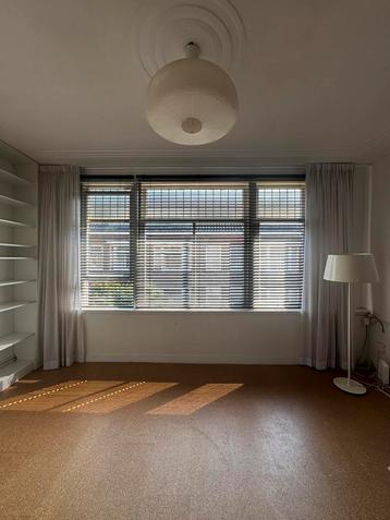 Zwarte Geperforeerde Hema Horizontale Jaloezieën/Luxaflex beschikbaar voor biedingen