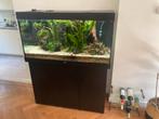 Juwel Rio 350 overcompleet, Dieren en Toebehoren, Vissen | Aquaria en Toebehoren, Ophalen, Zo goed als nieuw, Gevuld zoetwateraquarium