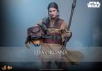 Hot Toys MMS854 Star Wars VI Leia Organa Boushh Disguise, West Campus 1 76863 Herxheim (DE), Heo GmbH, Nieuw, Ophalen of Verzenden