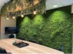 Kunsthaag – Professionele groene wanden, Ophalen of Verzenden, Nieuw, Binnen