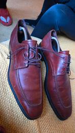 herenschoenen Van Bommel, Kleding | Heren, Schoenen, Ophalen, Bruin, Floris van Bommel, Gedragen