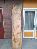 Eikenhout boomstam plank, Doe-het-zelf en Verbouw, Hout en Planken, 25 tot 50 mm, Eiken, Ophalen of Verzenden, Zo goed als nieuw